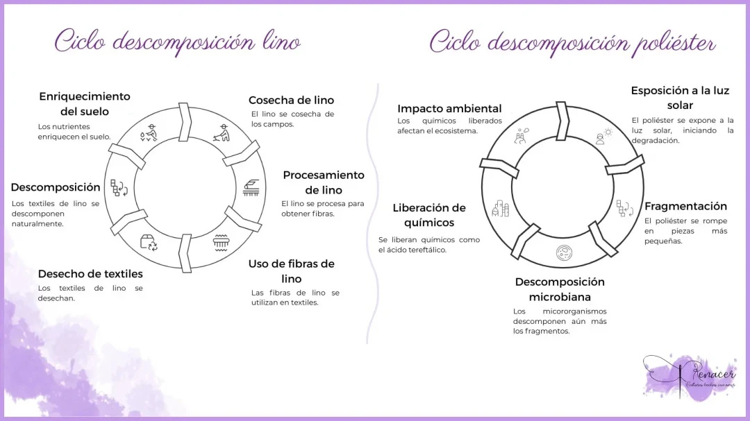 Infografía comparativa entre la descomposición del lino y del poliéster